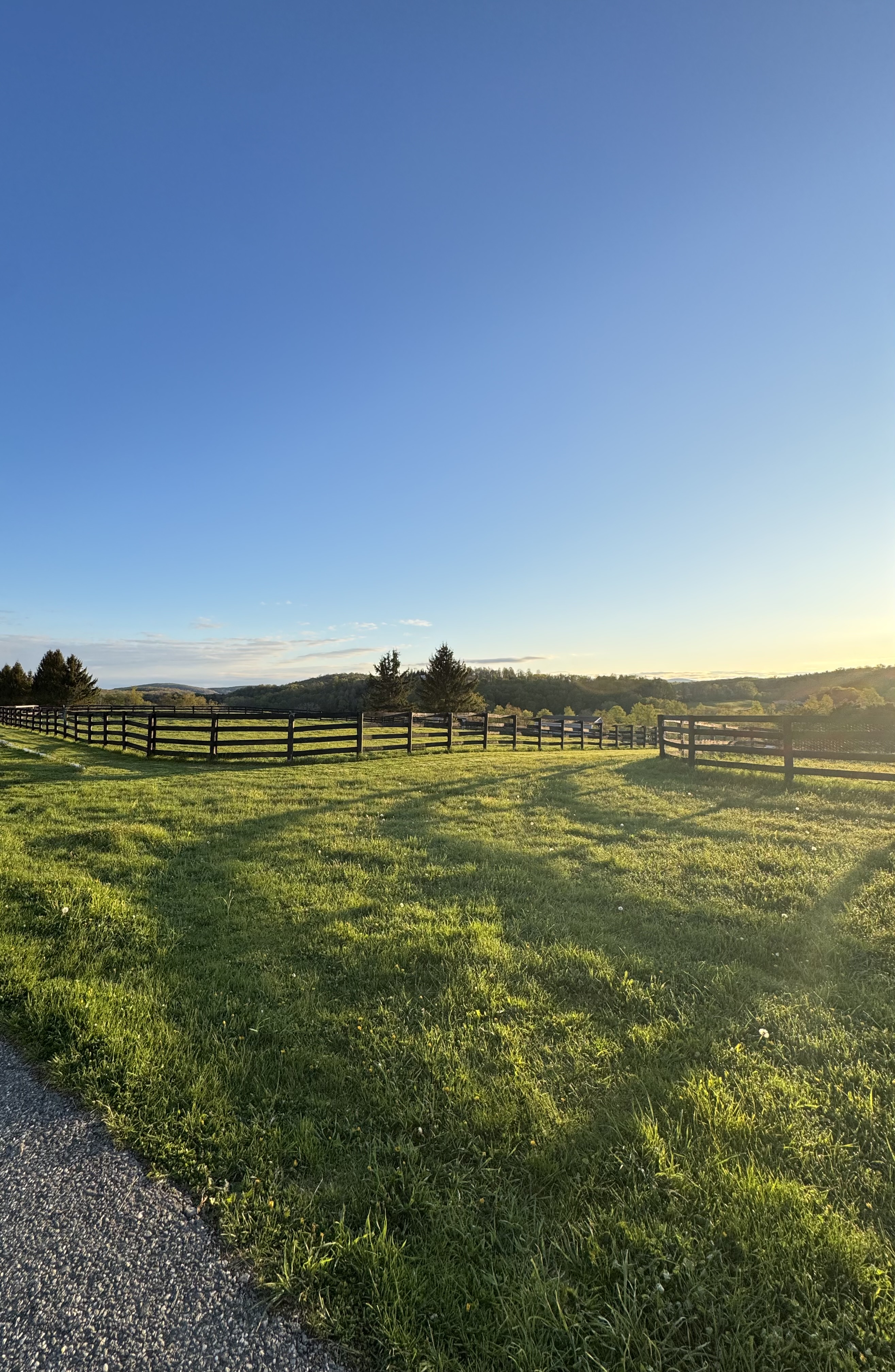 Green Meadow Farm pasture and fencing at golden hour
